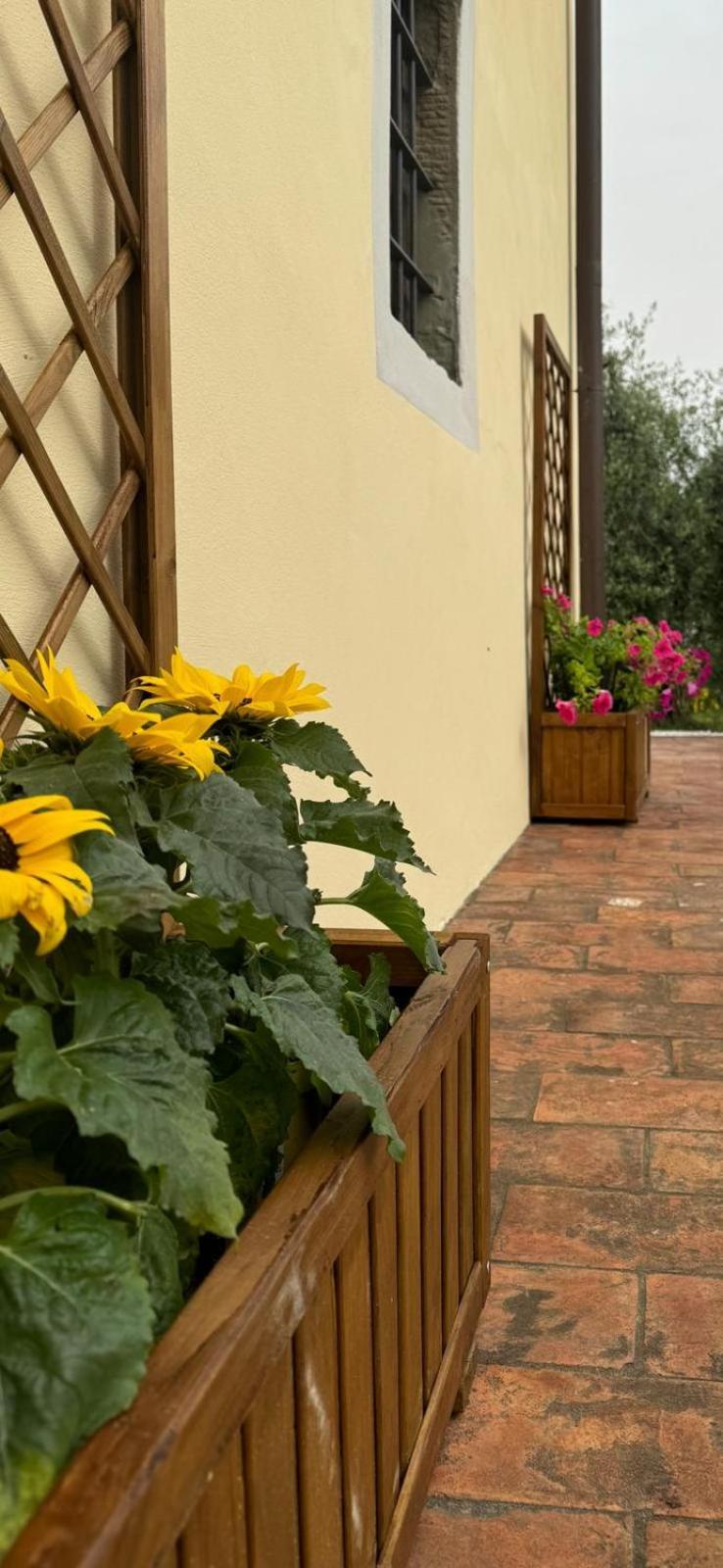 Agriturismo Da Nonna Argia Massa e Cozzile Exterior photo